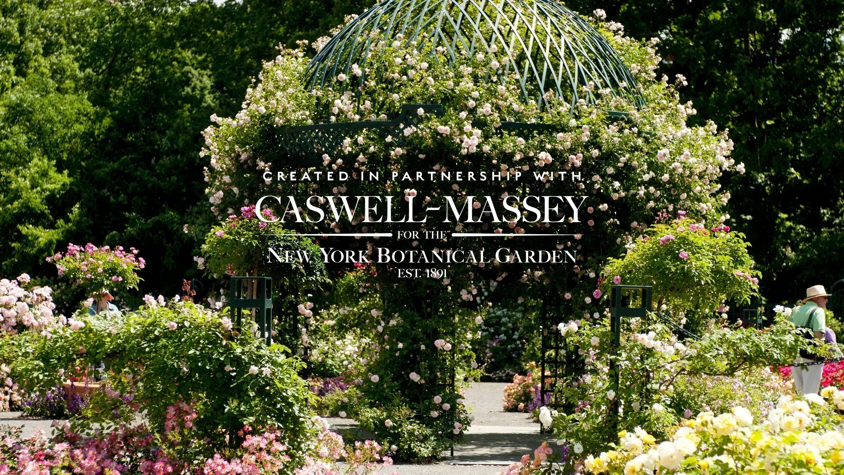 ローズ パルファン