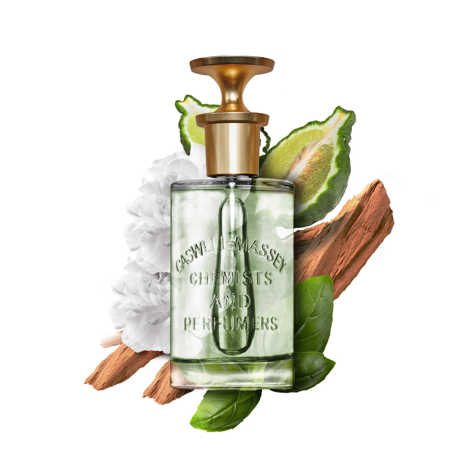 ジョッキークラブ