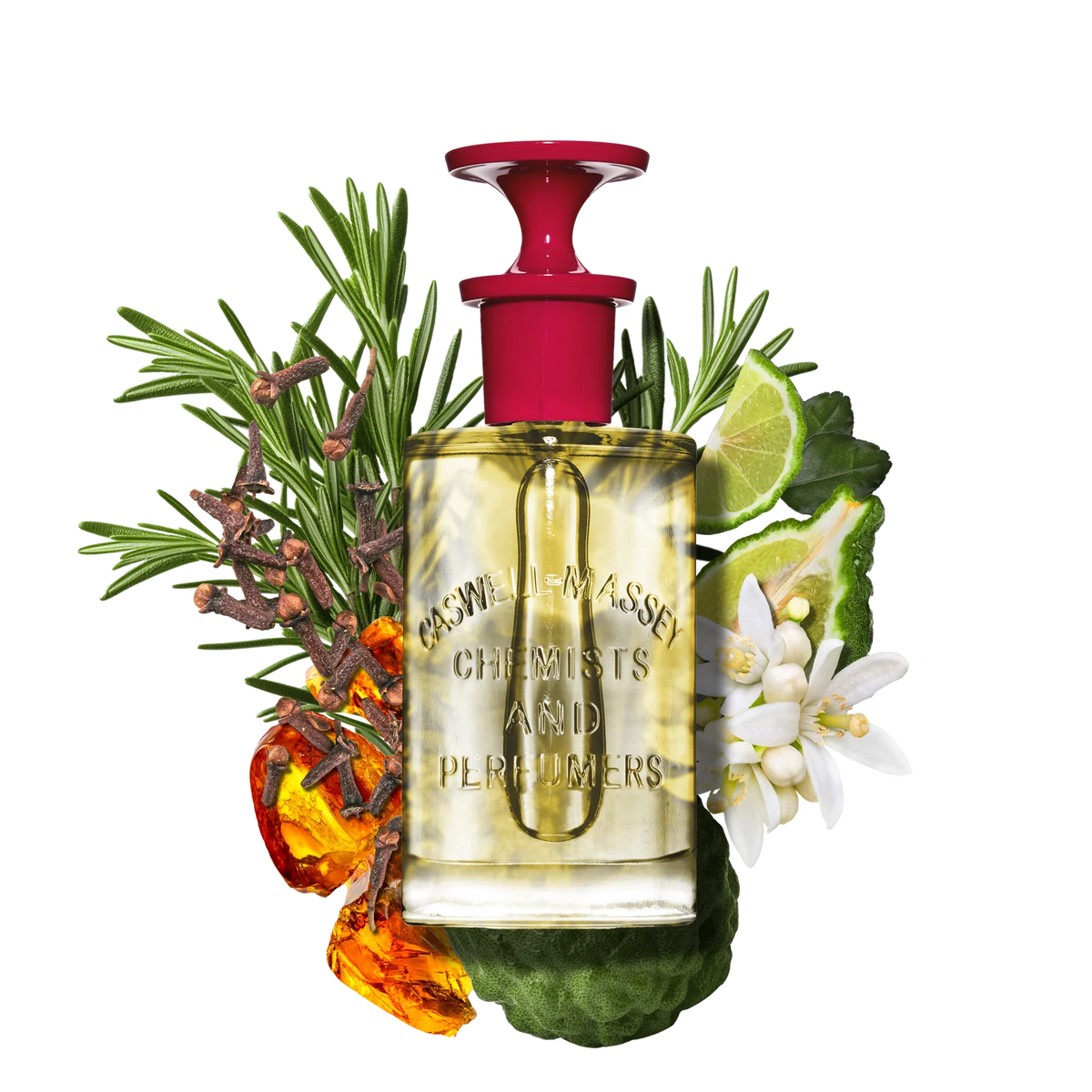 ナンバーシックス – CASWELL-MASSEY®︎