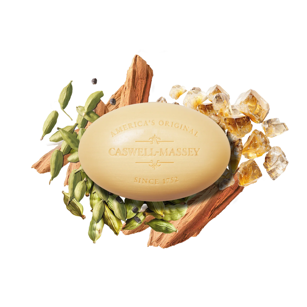 09_25720_2571BarSoap_SoapInfog