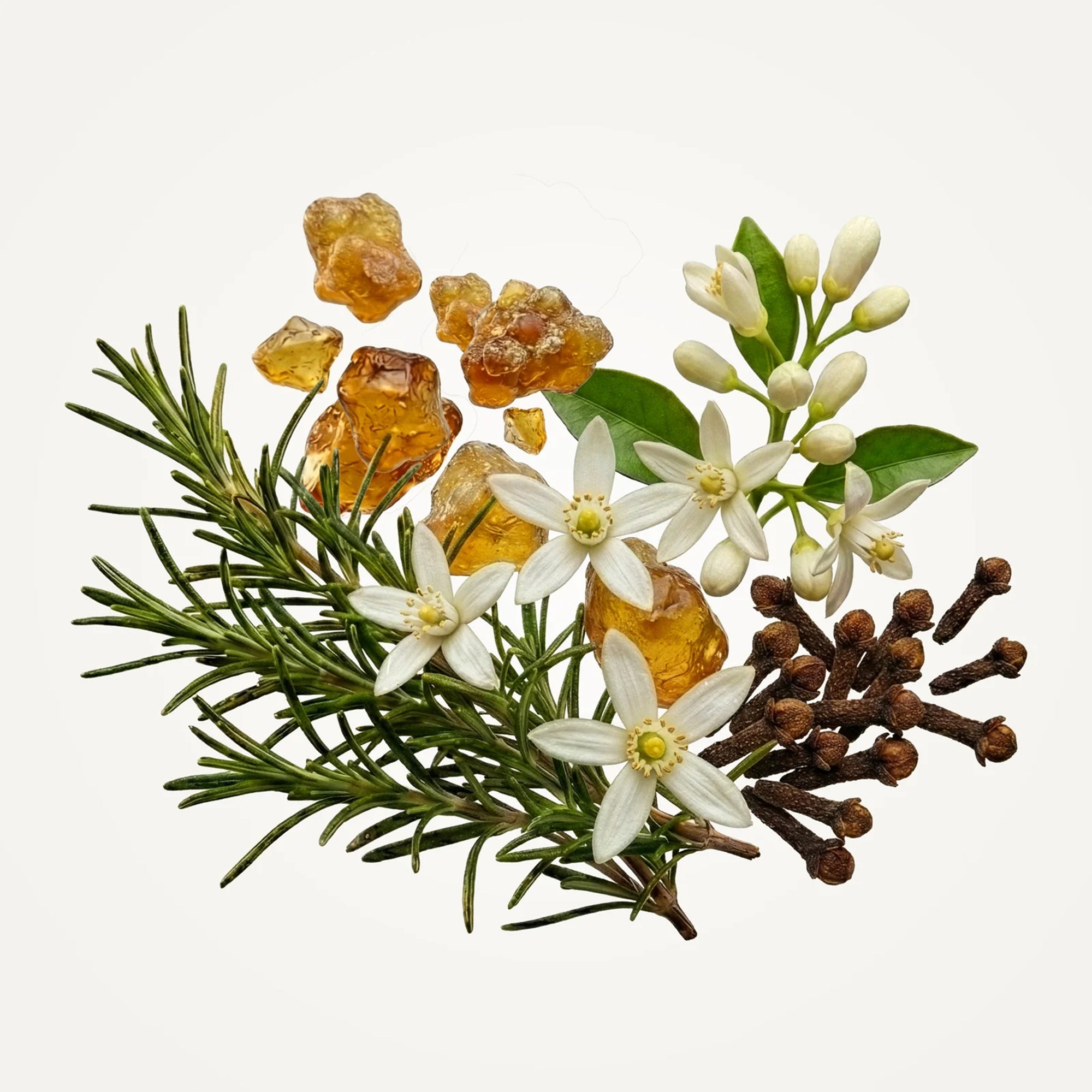 ナンバーシックス