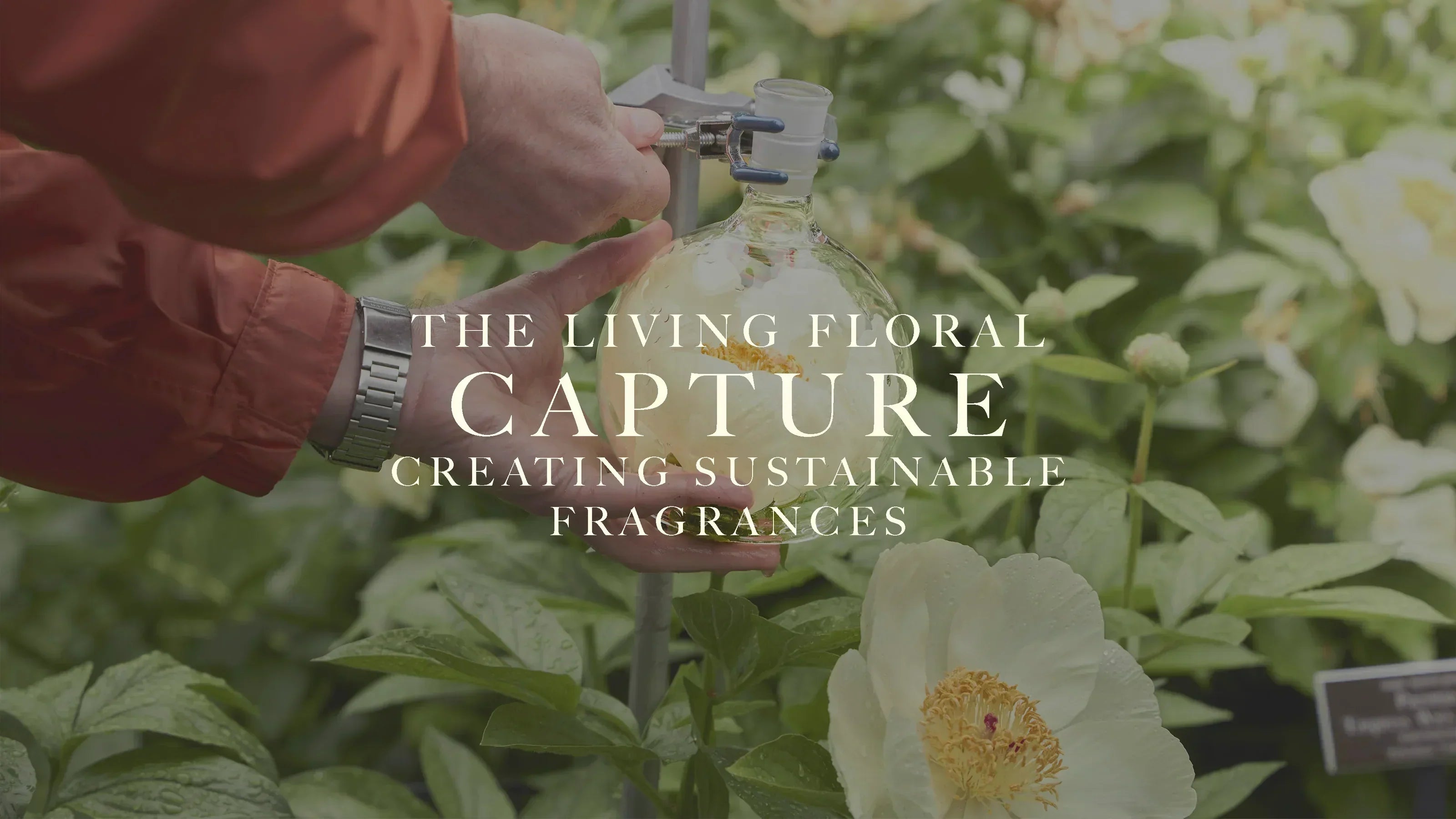 the Living Florals