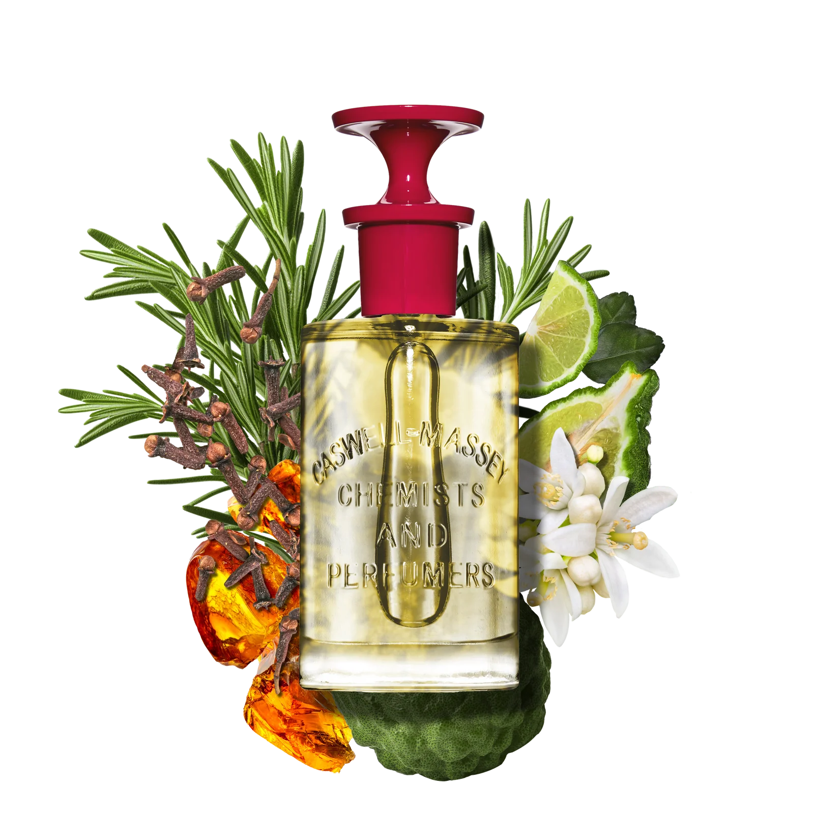 ナンバーシックス